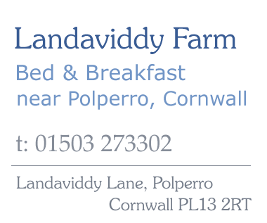 Landaviddy Farm, Bed and Breakfast near Polperro and Looe in Cornwall, Tel 01503 273302